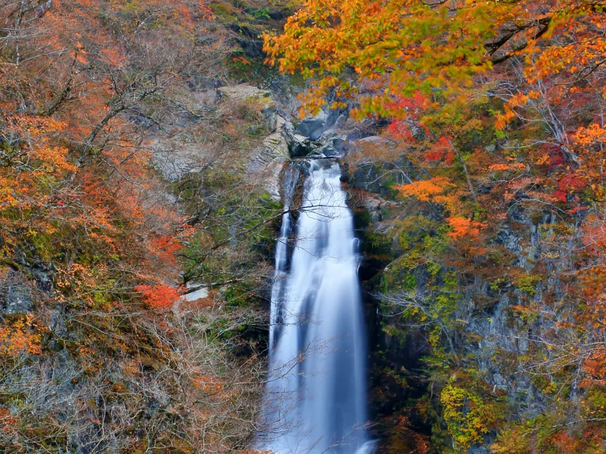 秋保大滝。滝見台から見下ろす豪快な流れと紅葉