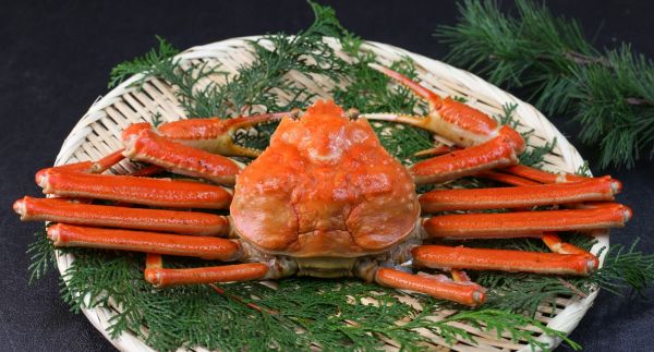 冬季限定ファミリープランのイメージ