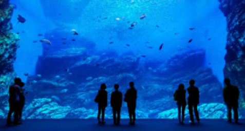 仙台うみの杜水族館チケット引換券付バイキングプラン