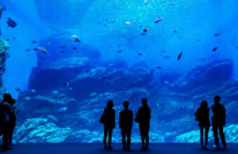 【仙台うみの杜水族館チケット引換券付】バイキングプラン