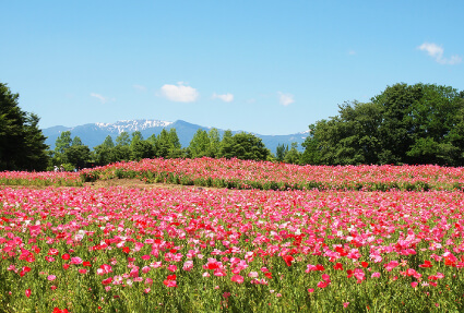 みちのく杜の湖畔公園